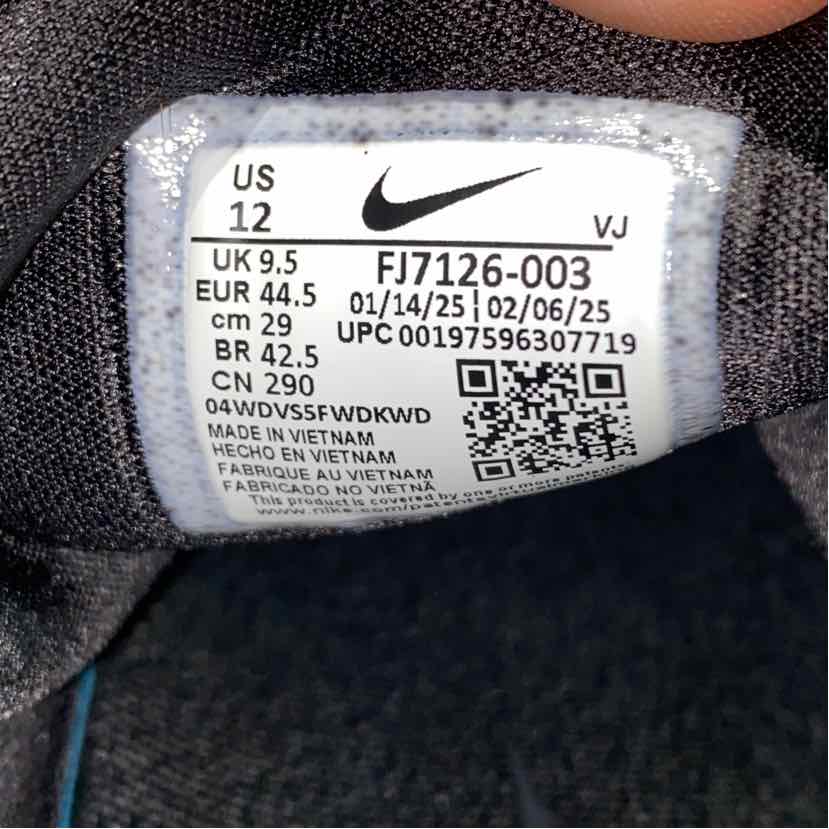 Nike Shoe Size 12 Black fj7126-003 Men's Sneakers