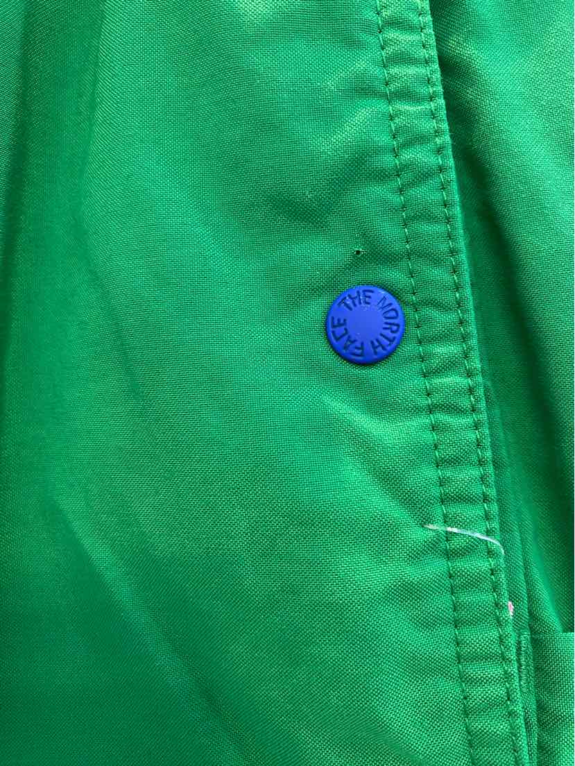 The Northface x Online Ceramics Cargo Shorts Green (Men's Small/ Lightly Used)